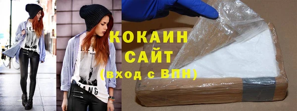 тгк Каменка