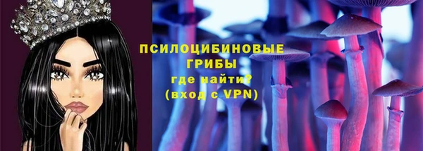 тгк Каменка