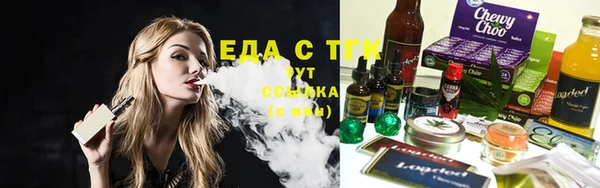 тгк Каменка