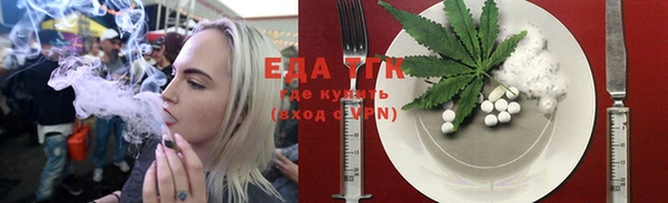 тгк Каменка