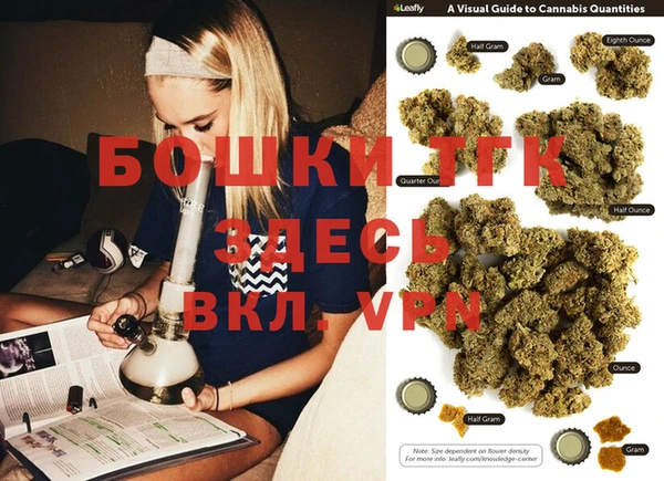 тгк Каменка