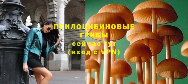 тгк Каменск-Шахтинский