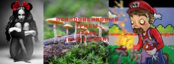 тгк Каменка