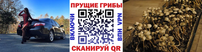 Псилоцибиновые грибы ЛСД  Купить  Бузулук 